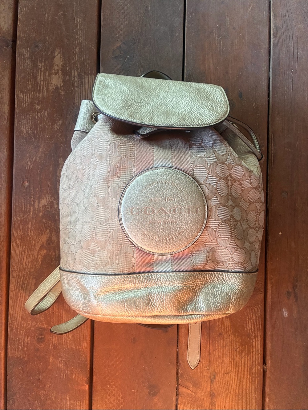 Coach Dempsey Backpack Metallic